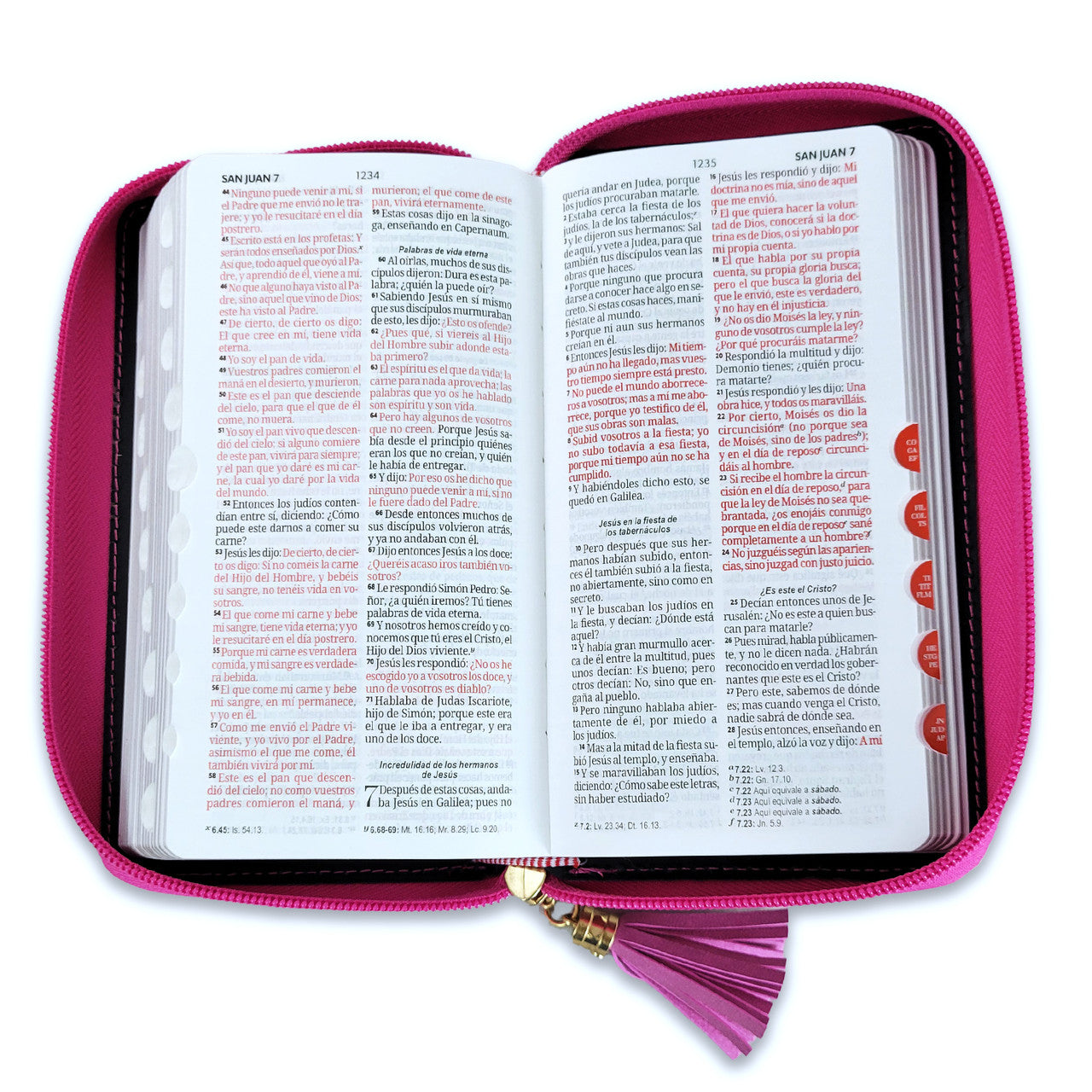 BIBLIA TIPO CHEQUERA FUCSIA CON INDICE